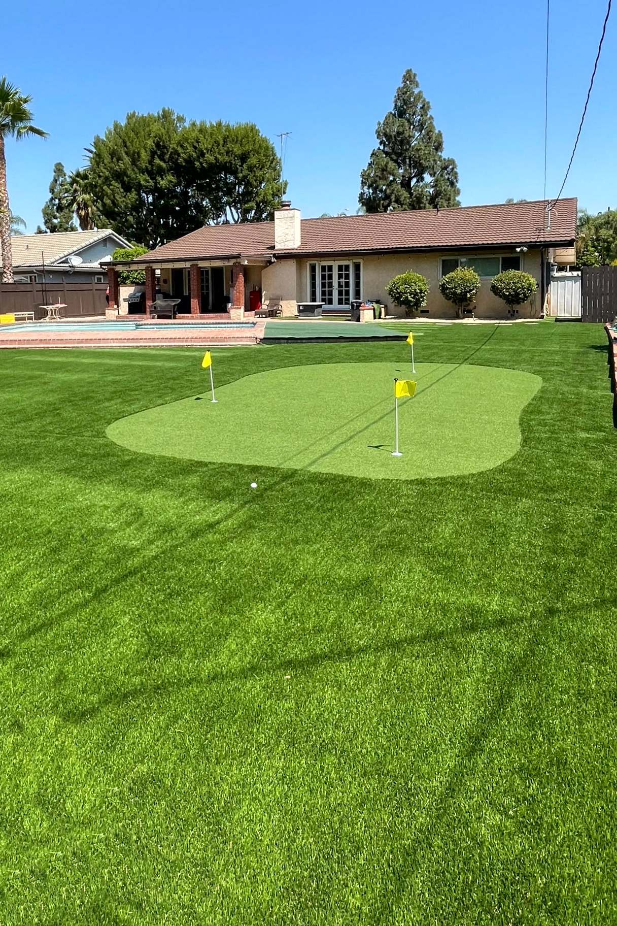 Golf And Putting Green Turf Services