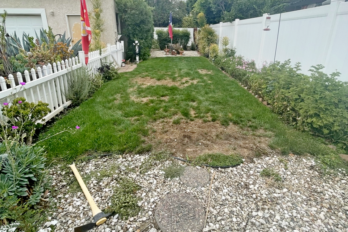 Eternal Turf and Pavers (before)