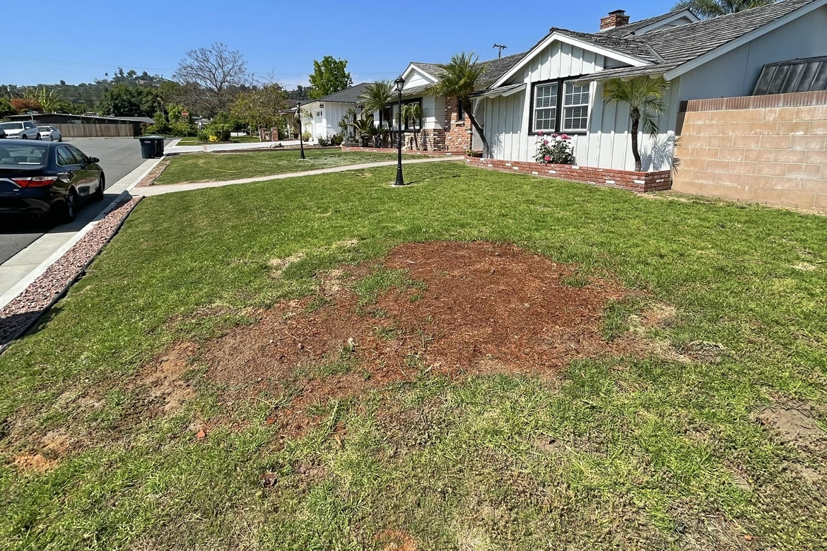 Eternal Turf and Pavers before and after (1)