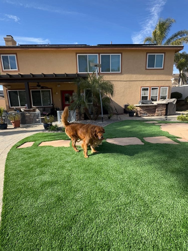 Backyard Turf and Paving Transformation in San Diego, CA (16)