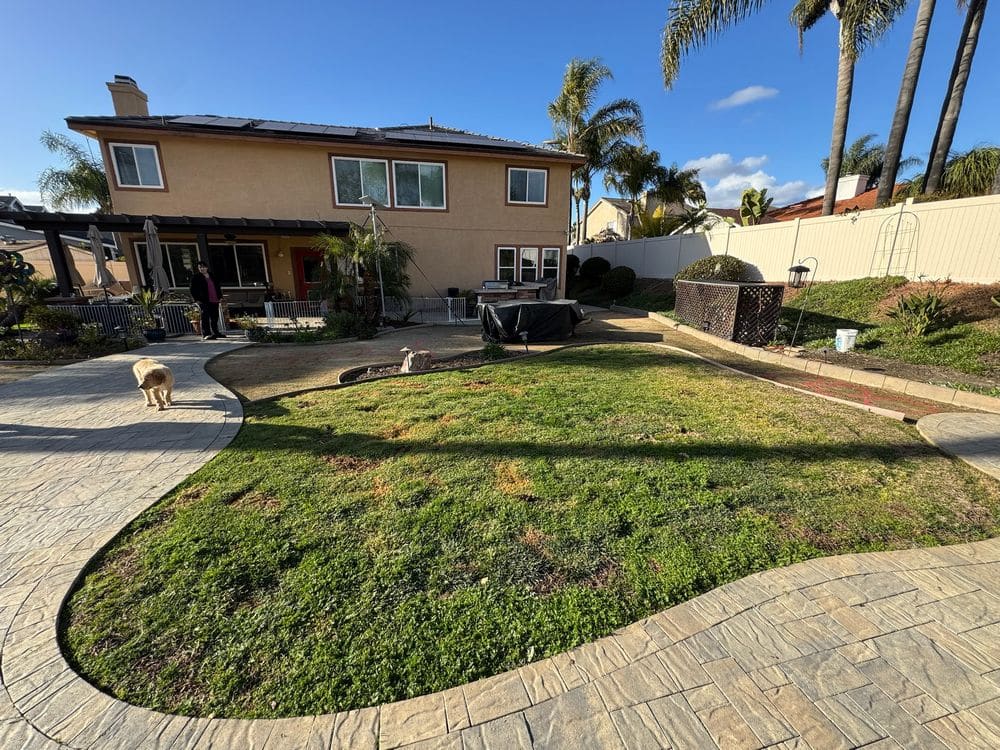 Backyard Turf and Paving Transformation in San Diego, CA (2)