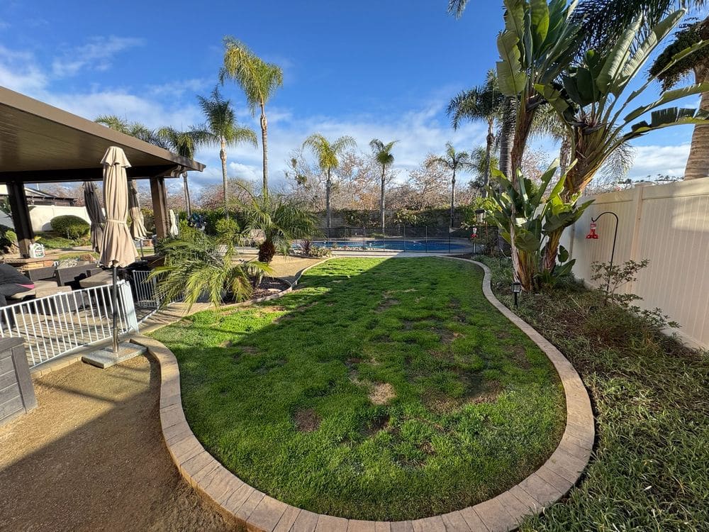 Backyard Turf and Paving Transformation in San Diego, CA (5)