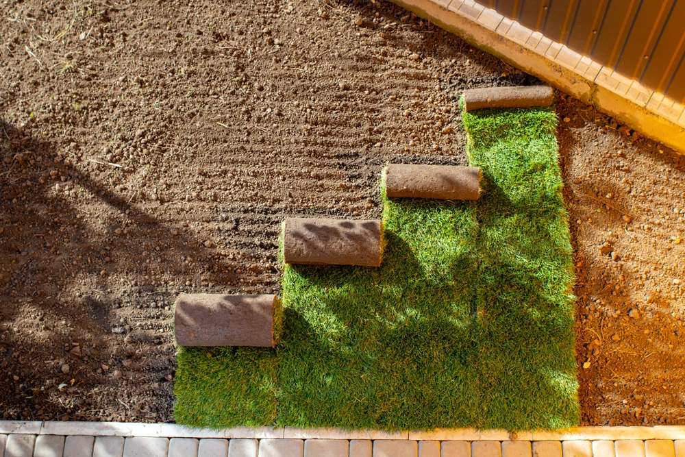 How Can Turf Design Improve the Functionality of My Yard?