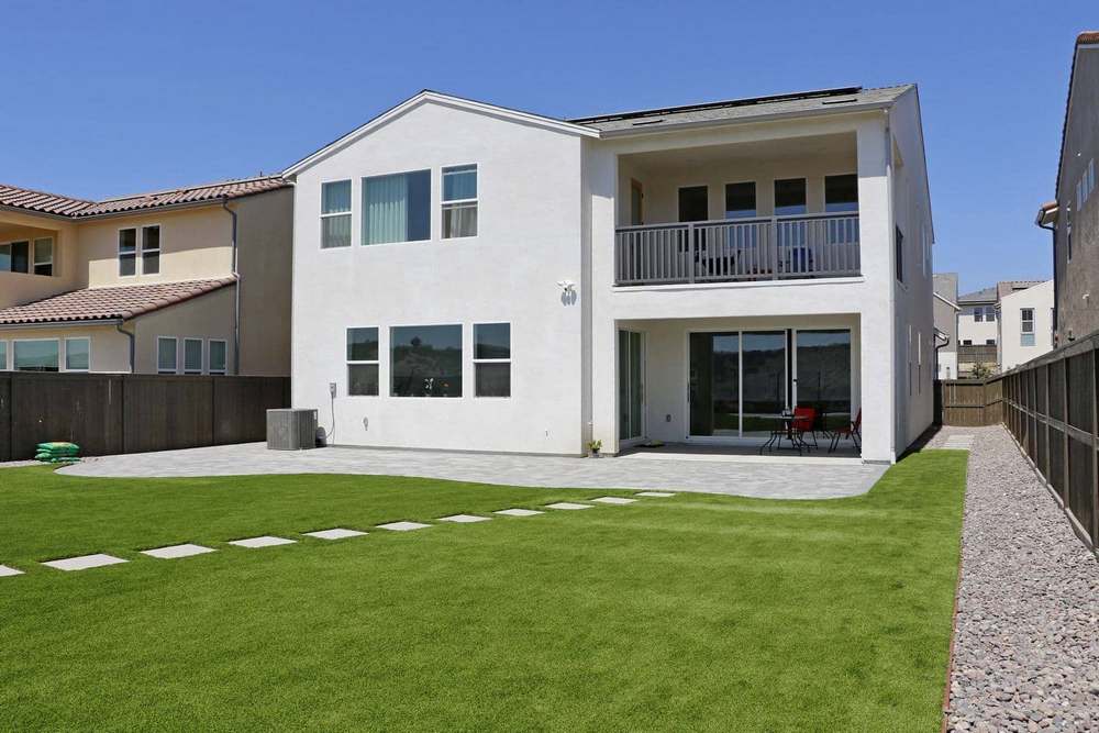How Do I Choose Between Sharp and Shine Grass Options?