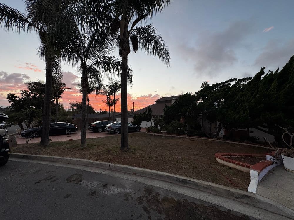 Turf Installation and Paving Project in Carlsbad (2)