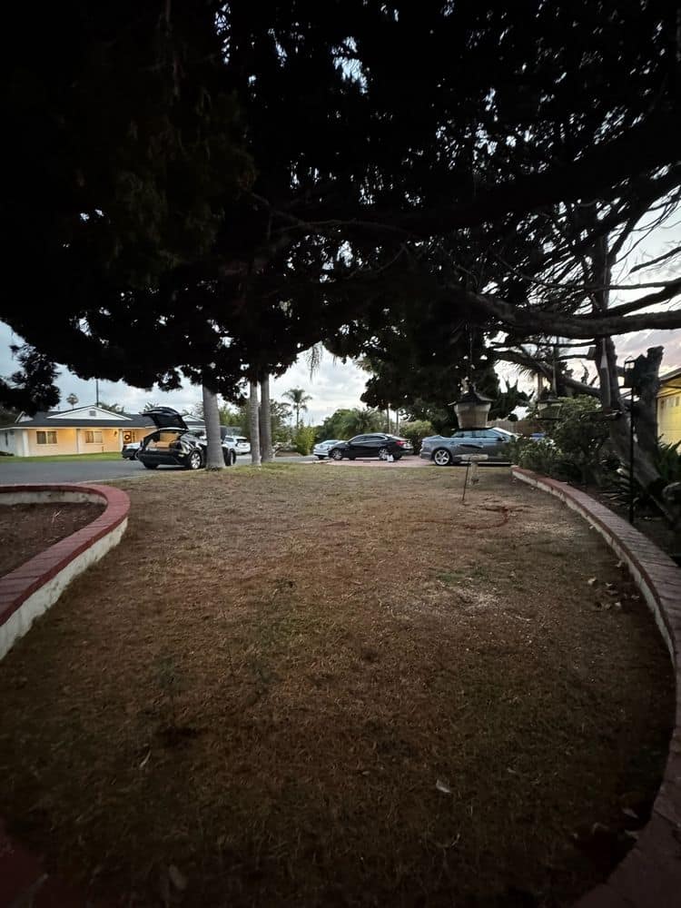 Turf Installation and Paving Project in Carlsbad (3)