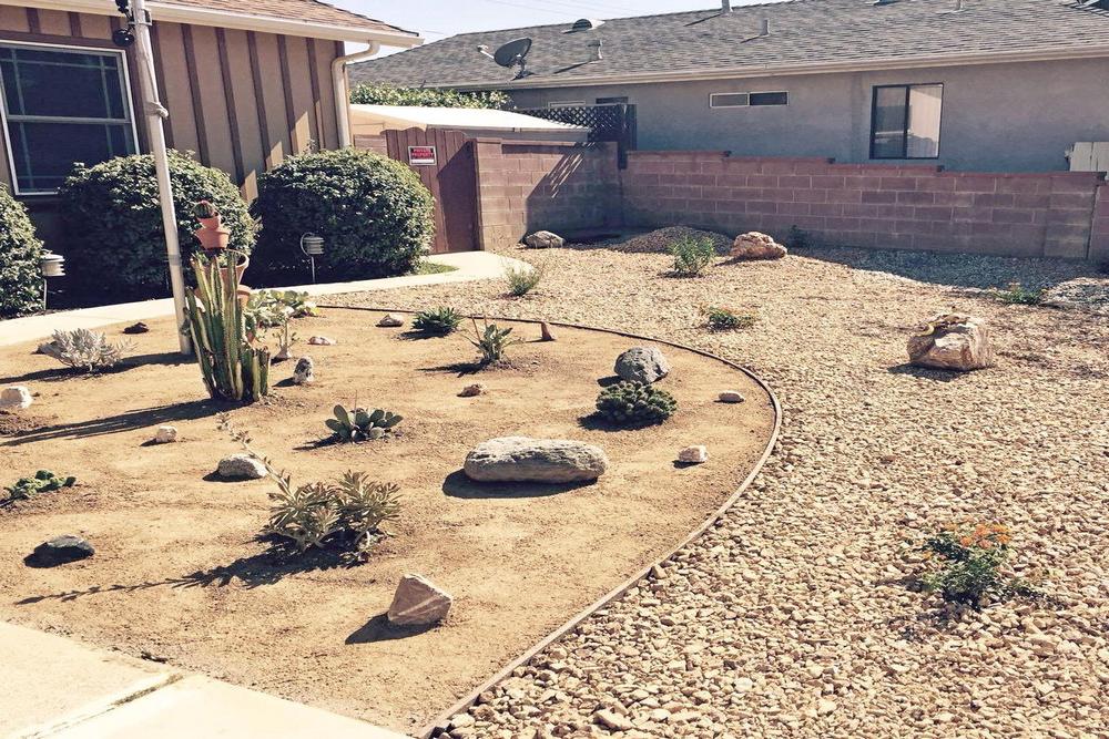 Kick Off 2026 With a Backyard That Looks Great Year-Round