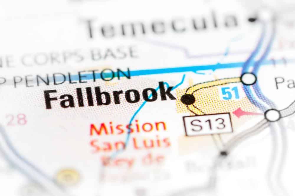 Avada Car Dealer News